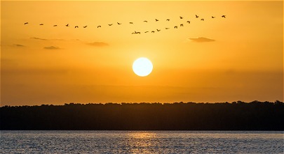 Parnaíba e Barra Grande